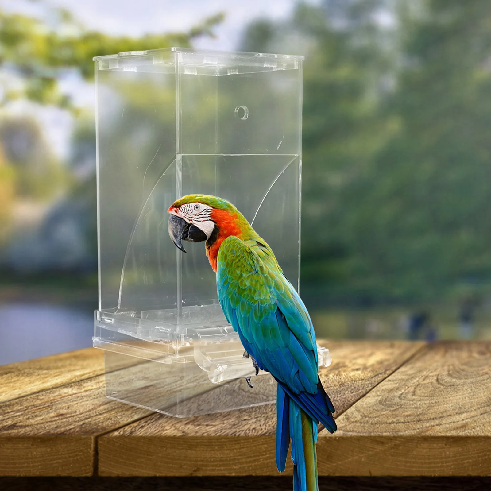 

Automatic Bird Feeder Transparent Design Spillproof Mess-Free Feeding for Parrots Parakeets Automatic Pet Feeder Cage Water