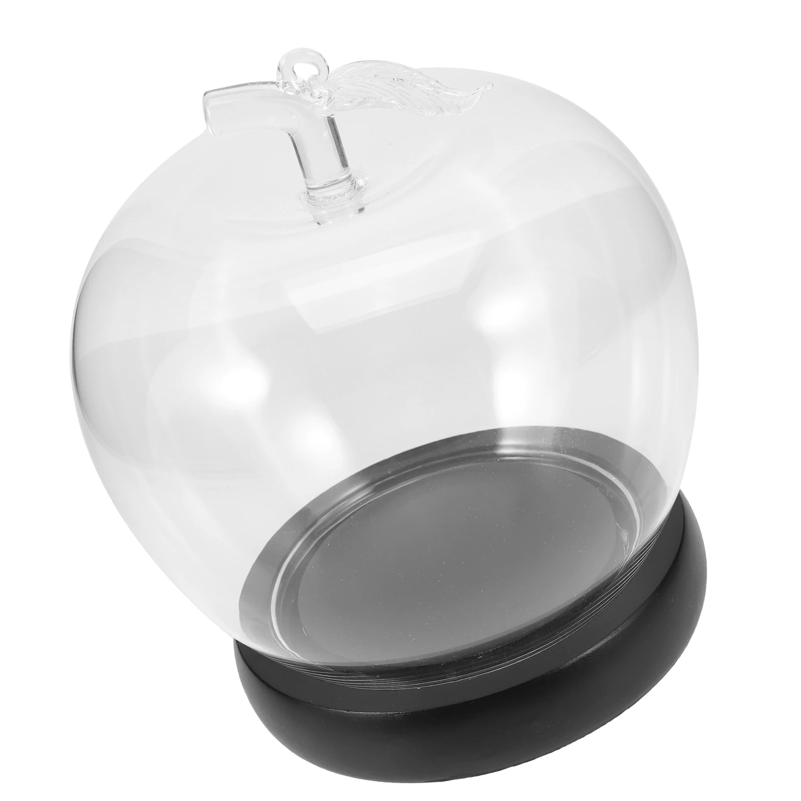 

Apple Display Mini Glass Dome Case Clear Dome Glass Domes For Display Wood Base Eternal Flower Vase Storage Decor