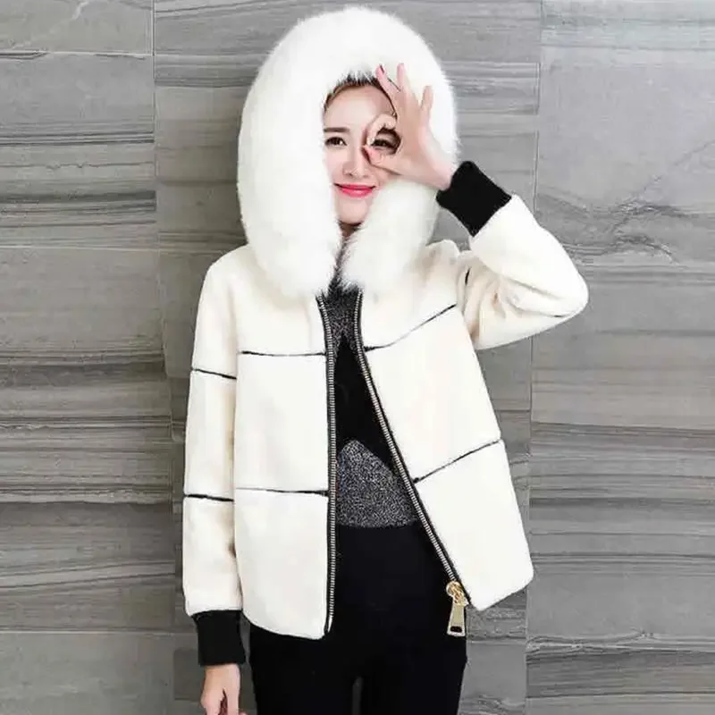 Women New 2020 Autumn Winter Faux Fur Short Coat Female Thicken Warm Casual Hooded Jacket Artificial Sheep Shearing Outwear H196