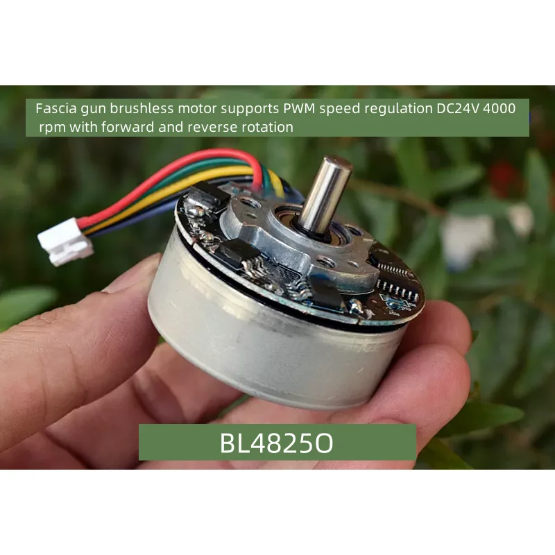 Motor sin escobillas BL4825O para pistola de membrana con alto par DC24V, compatible con regulación de velocidad PWM hacia adelante y hacia atrás, 1