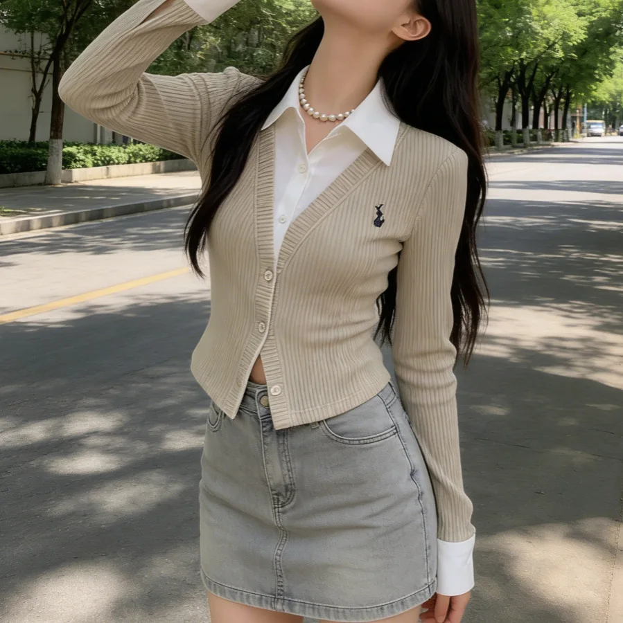 Women's Long Sleeve Embroidered  Neck Open Cardigan Slim Fit Short Style False Two-Piece Spring Autumn Design Sense Shirt