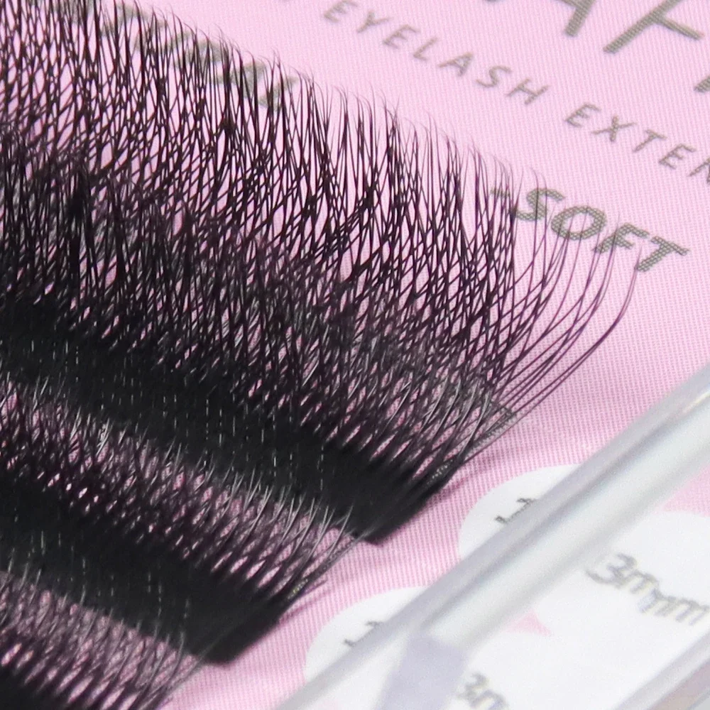6D W-Shaped False Eyelashes Natural Volume Fans