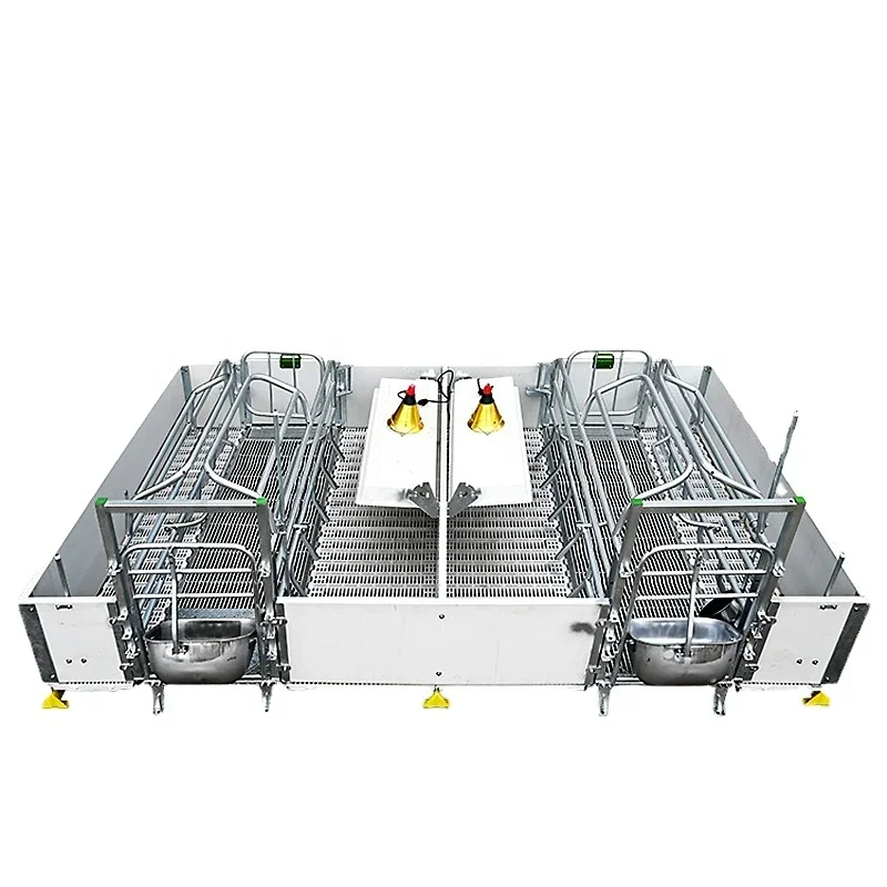 pigs farm equipment EU european type Farrowing pen cage for 2 sow double size sow bed hot galvanized steel pipe PVC