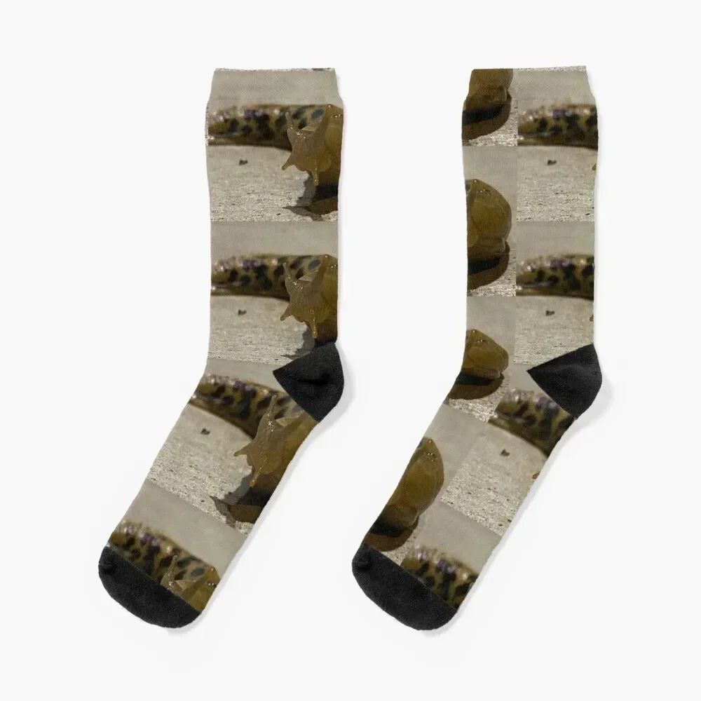 

Sluggo Socks Argentina Running moving stockings Antiskid soccer Socks Men Women's