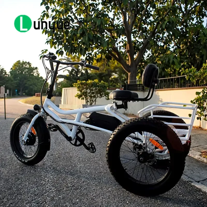 20 Inch Folding Electric Tricycle Adult Low Step Aluminum Alloy 3 Wheel E Bike Compact Design For Urban Commuting Easy
