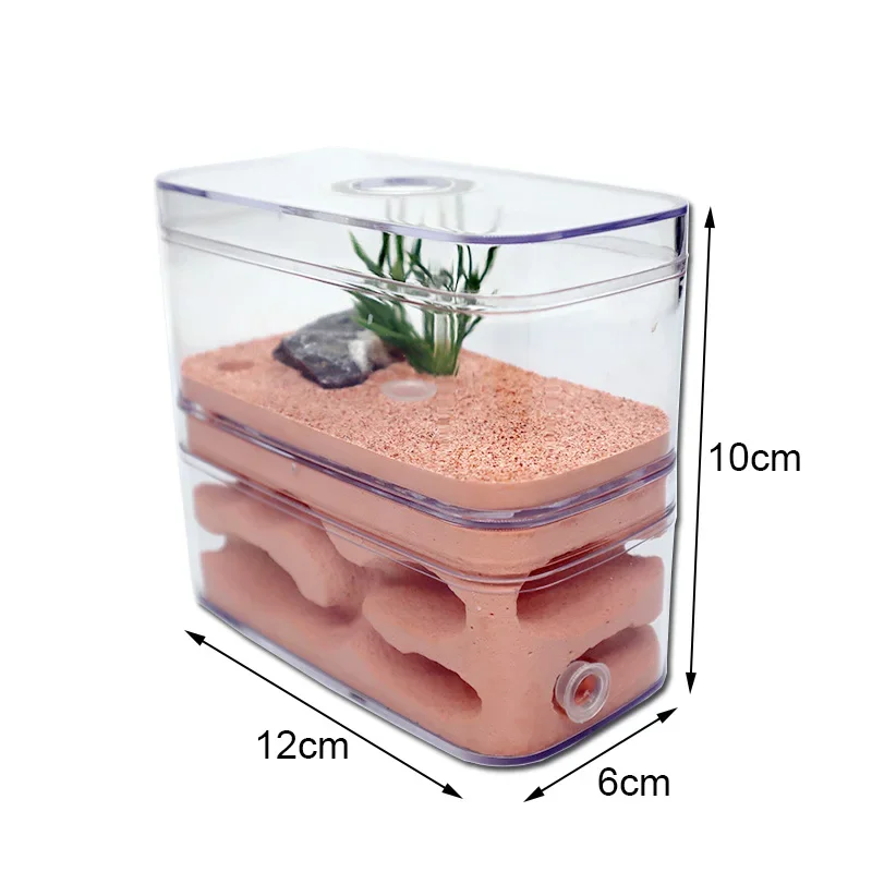 Highly Moisturizing Ant Farm Plaster Ant Nest Insect Box Ecological Ant House with Workshop Pet Anthill Castle Natural Floral