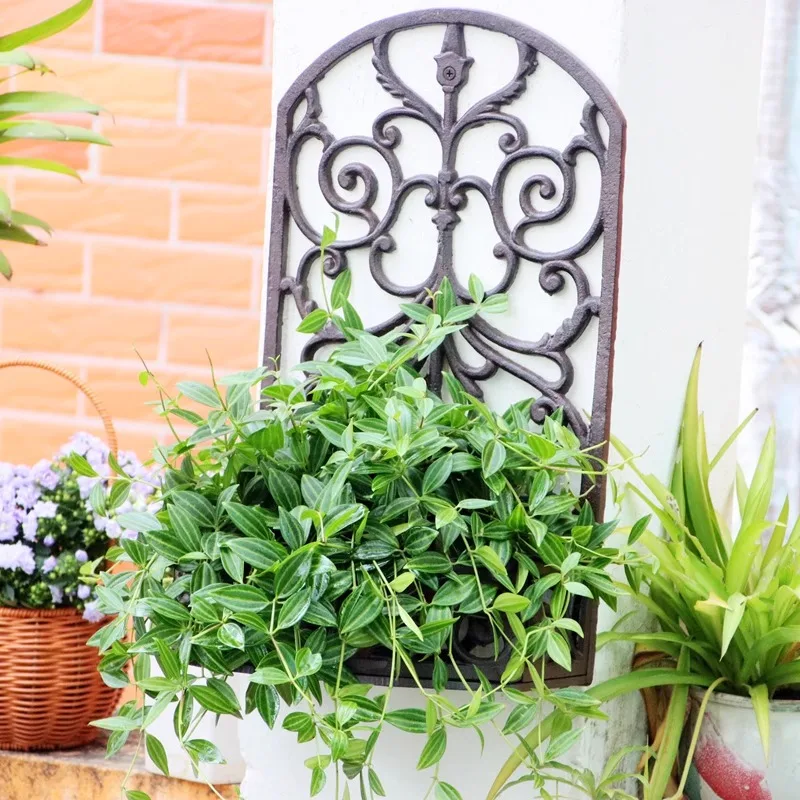 حامل زهور حديد على الطراز العتيق للعصارة والنباتات بوعاء وعاء الأوركيد على شكل فراشة وفناء الشرفة