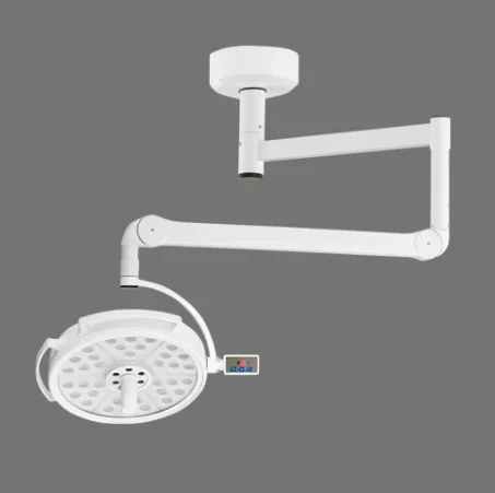 Veterinary Medical Shadowless Operating Room Light Wall Mounted Ceiling Veterinary Surgical OT Light Surgical Light Inspection L