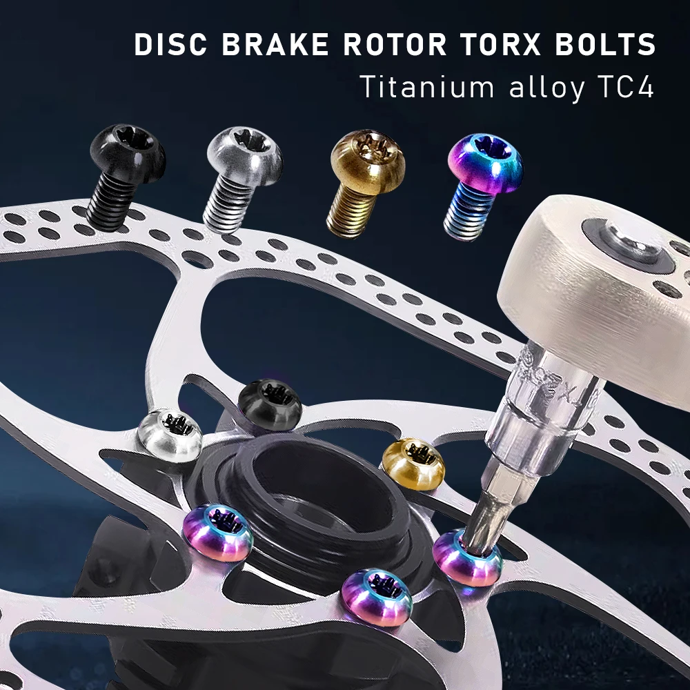 yZ[z12 ]ԃfBXNu[L[^[gNX{g T25 M5x10mm `^ MTB [hoCNŒlWJtȃTCNOi