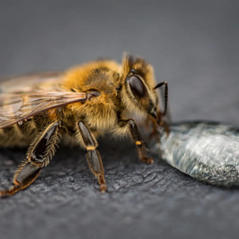 อะไหล่รถบังคับวิทยุ WLtoys 124006 12423 12427 12428 ชุดแกนพวงมาลัย แกนยึดพวงมาลัย