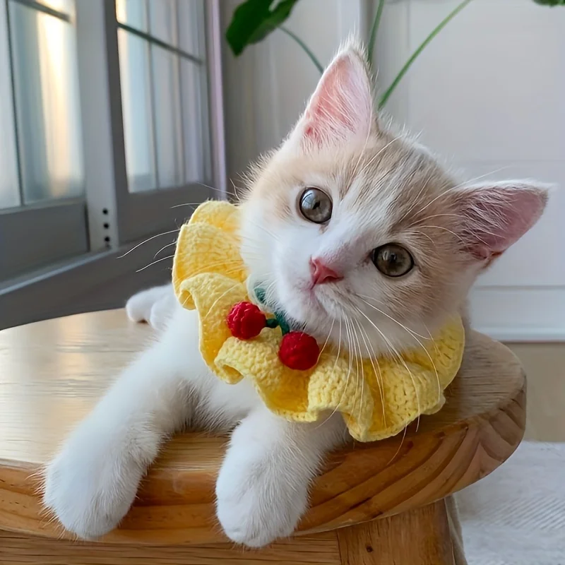 Erdbeerkariertes Haustier-Lätzchen, weiche Polyester-Fliege mit Rüschenrand, verstellbarer Riemen für Katzen und Hunde in allen Größen