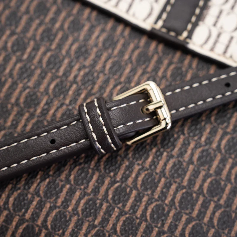 حقيبة يد رائعة وعصرية ذات علامة تجارية فاخرة وخفيفة الوزن مع تصميم قفل حقيبة كروس نسائية عصرية جديدة غير رسمية #5