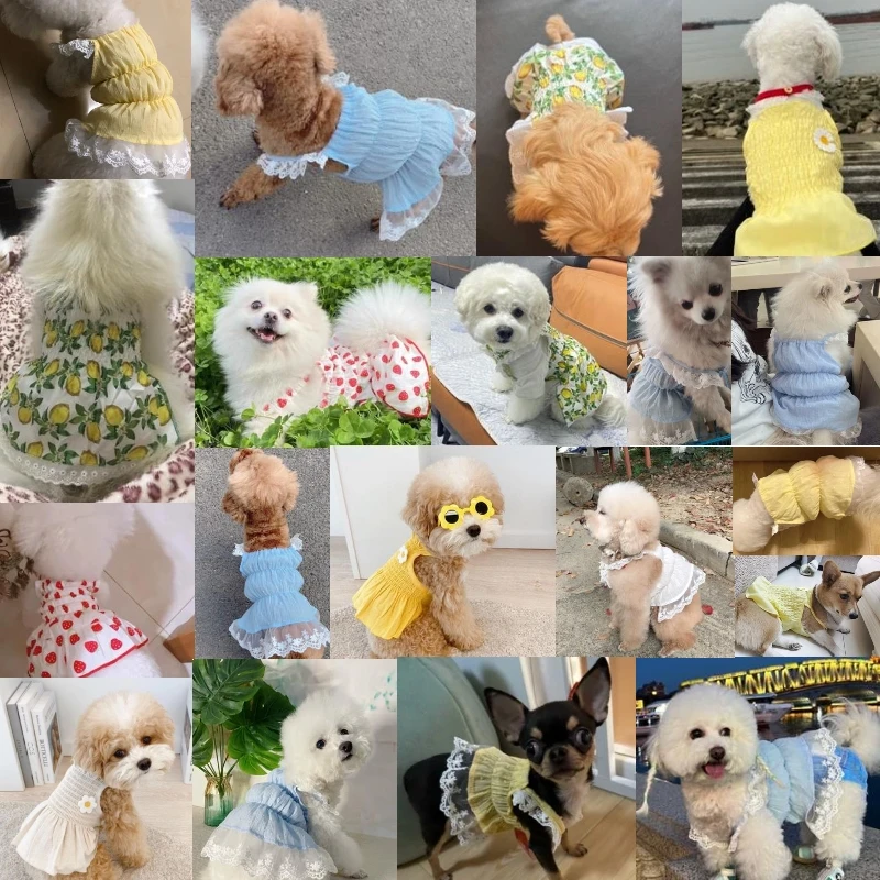 Lindo vestido de encaje para perros pequeños, Chihuahua, chaleco para cachorros, falda para mascotas, accesorios para Bulldog Francés, ropa para