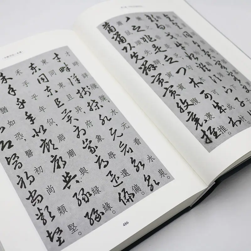 Chinese Brush Copybook Calligraphy Complete Works Brush Writing Technique Reference Tutorial Chinese Characters Encyclopedia