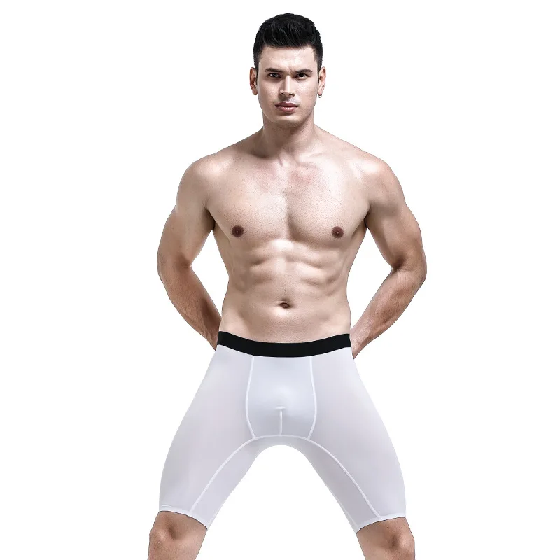 Mens Underwear Boxers Shorts Homme Transparent Panties Man Ice Silk Breathable Pouch Long Leg Underpants Cueca Large Size L-5XL