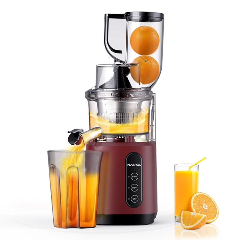 

Commercial Automatic Electric Slow Juicer Industrial Press Mango Pineapple Carrot Vending Machine for Apple Carrot Juicing