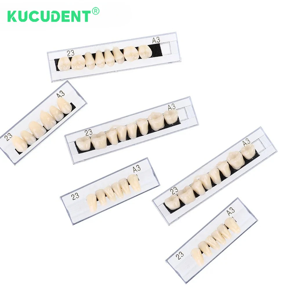 Рисунок 4 - зубы, верхняя передняя нижняя часть