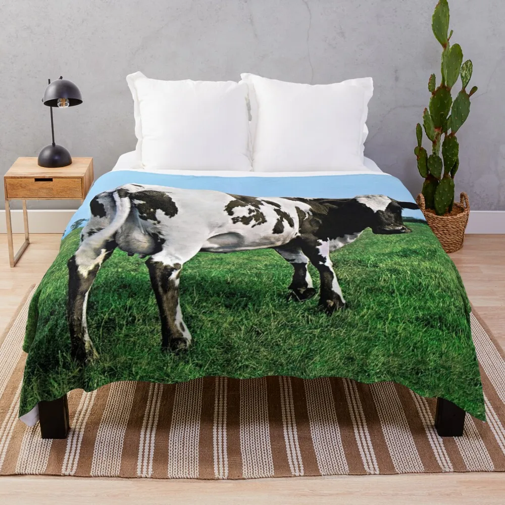 

Atom Heart Mother (HQ) Throw Blanket Sofa Thermals For Travel Fashion Sofas Decoratives Blankets