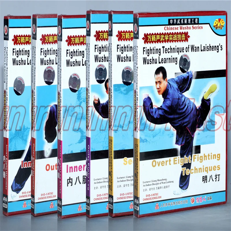 Fighting Technique Of Wan Laisheng's Wushu Learning Kung Fu Teaching Video English Subtitles 6 DVD