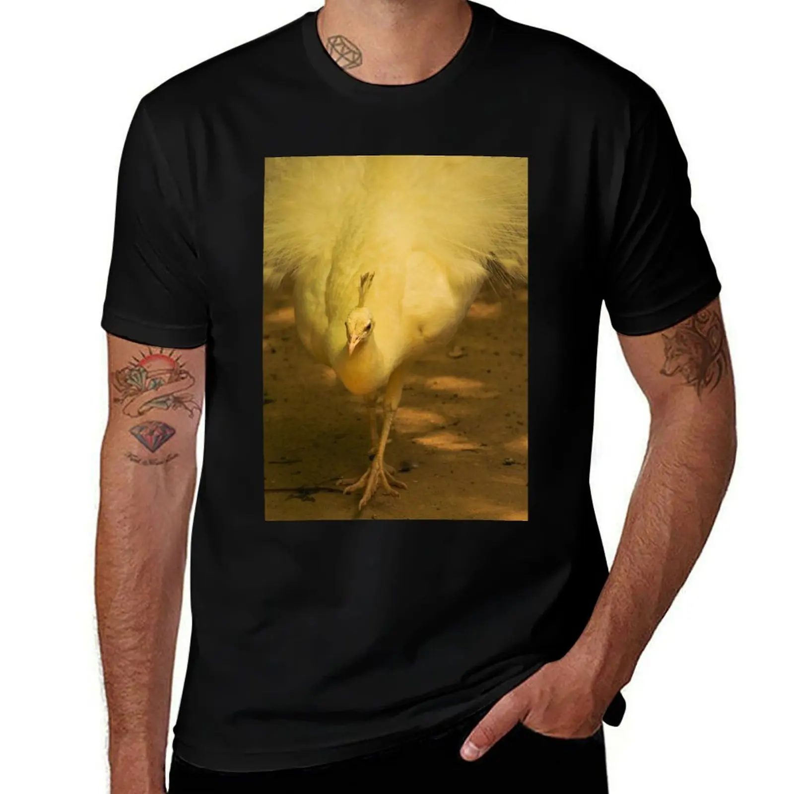 

White Peafowl Jerez Zoo Vertical T-Shirt anime tshirt shirts graphic baggy shirts mens shirts graphic tee
