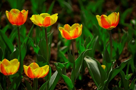 

RS RC 1.9" Rubber Tires Beadlock Wheels Rims for 1/10 RC Crawler Car Trxs TRX4 Axial SCX10 90046 90047 MST HSP Redcat Gen8