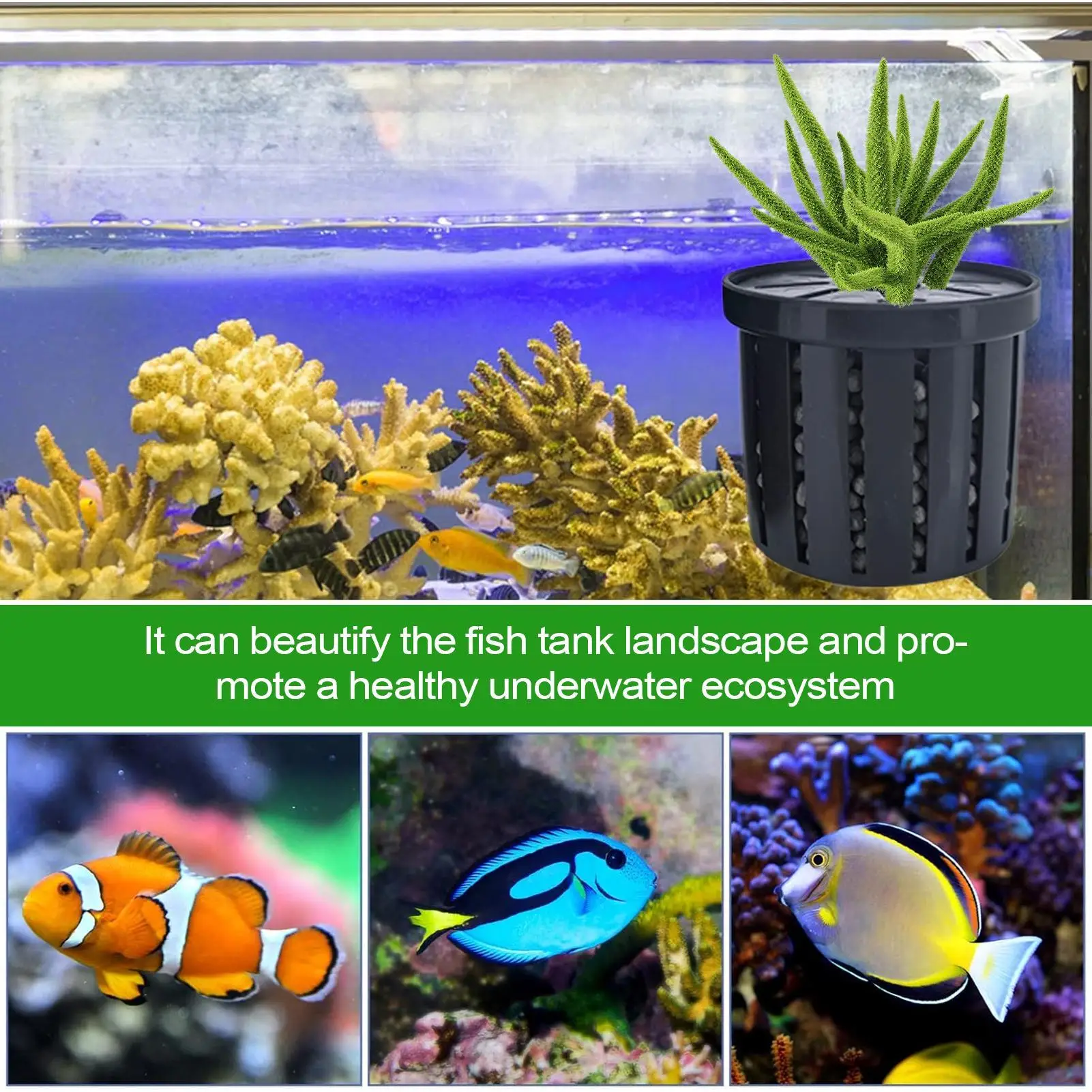 4 stücke Haustier Aquarium Dekorationen Zubehör Aquarium Anlage Stehen Stabile Aquarium Net Tasse Hydrokultur Anlage Lagerung Festen Korb – Detail 14
