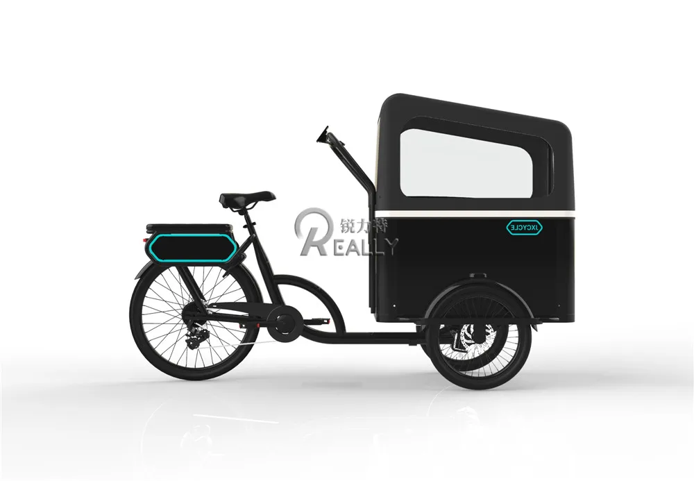 3 Wheel Electric Cargo Bike Shopping Tricycle Family Used Pedal Kids Adult Tricycle Aluminum Frame