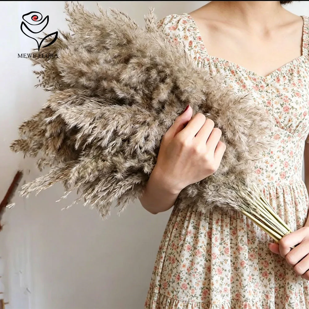 50 Stück Konserviertes Flauschiges Pampasgras-Bouquet für Boho-Heimdekoration, Hochzeits-Tischdekoration, Farmhaus-Wohnzimmer, Vasenfüller, Rustikale Arrangements