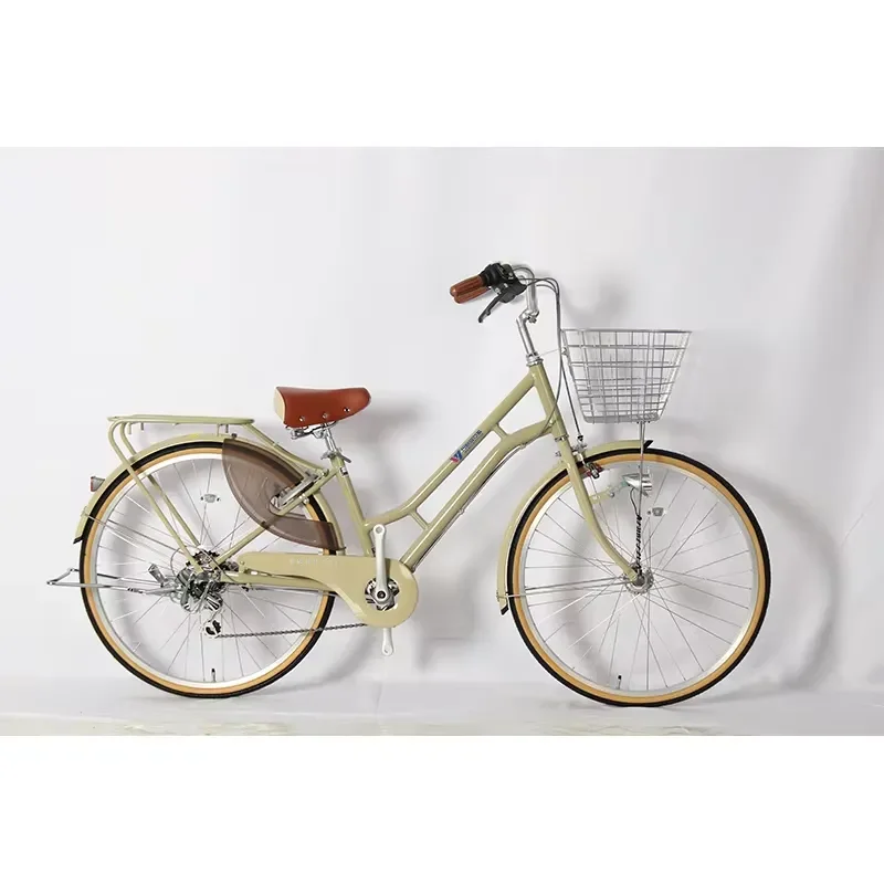High quality custom women's beach cruiser bike 24/26 inch bike 6-speed bike with steel fork aluminum alloy rims