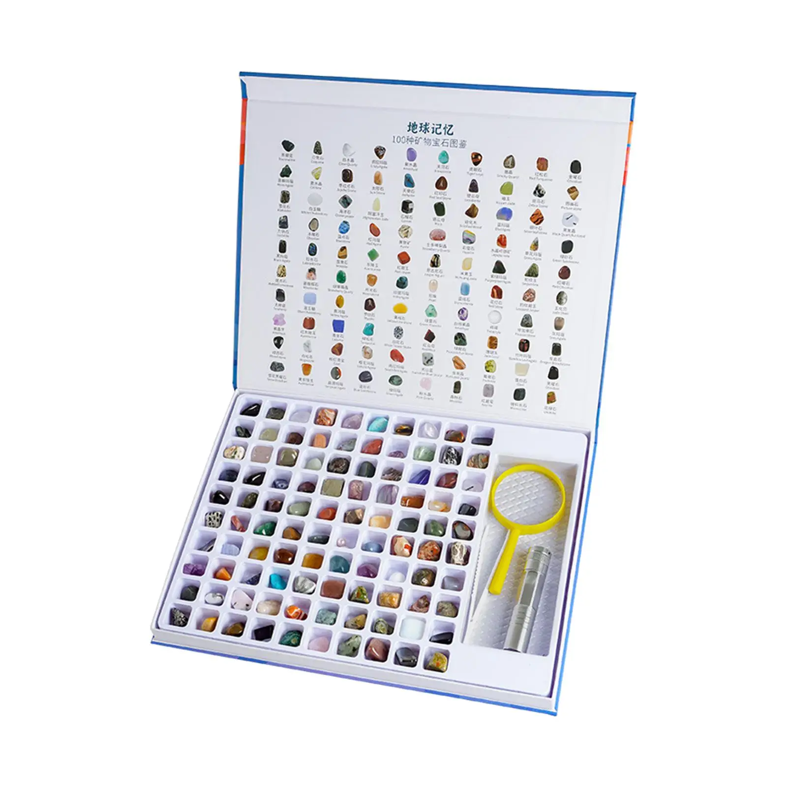 Gemstones Treasure Collection Kit for Kids Natural Mineral Specimen Rocks Science Geology Gift Educational Display