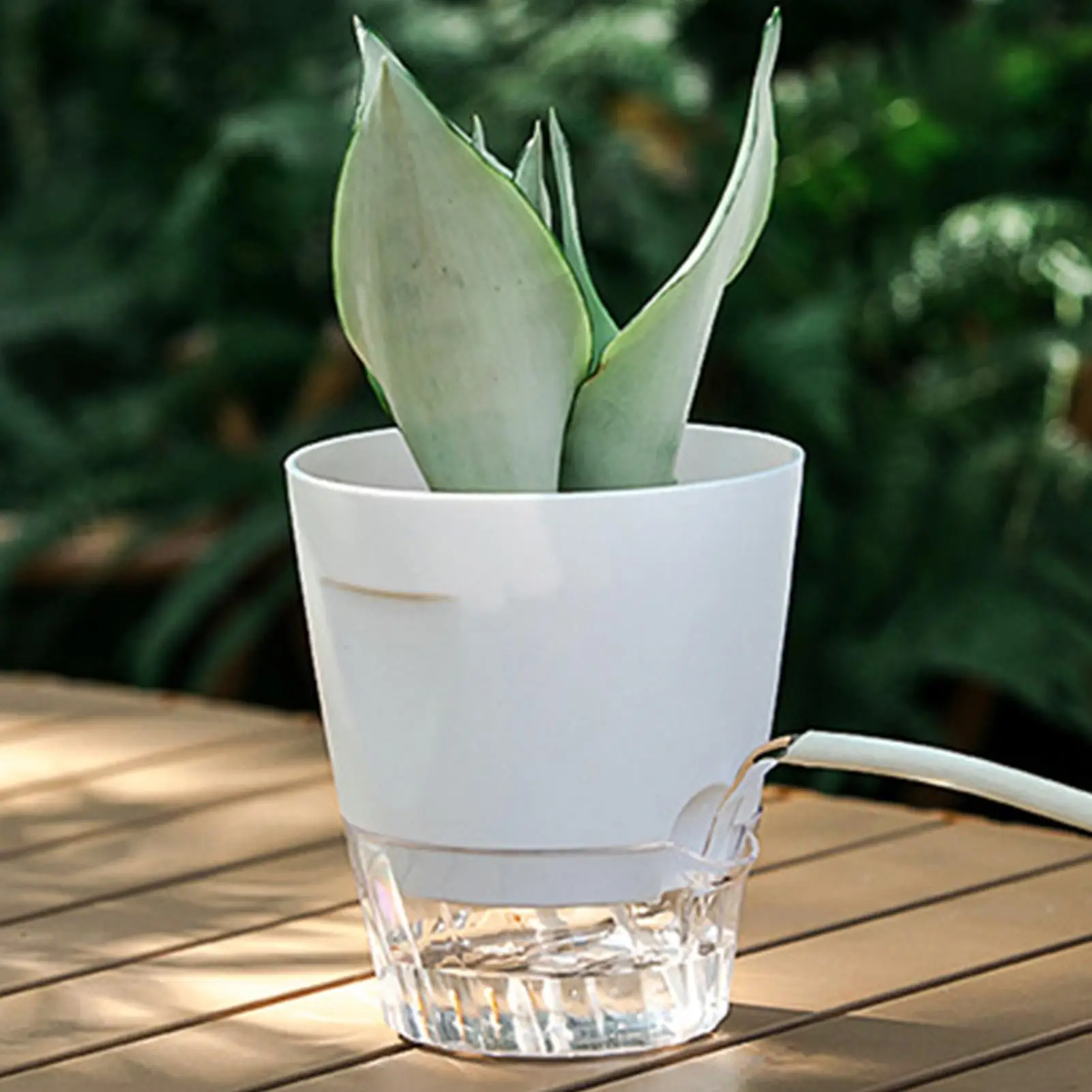 Self Watering Pots 5 Pieces Grow Box Nursery Pots with Water Level Indicator for Indoor Living Room Balcony Patio Deck Porch