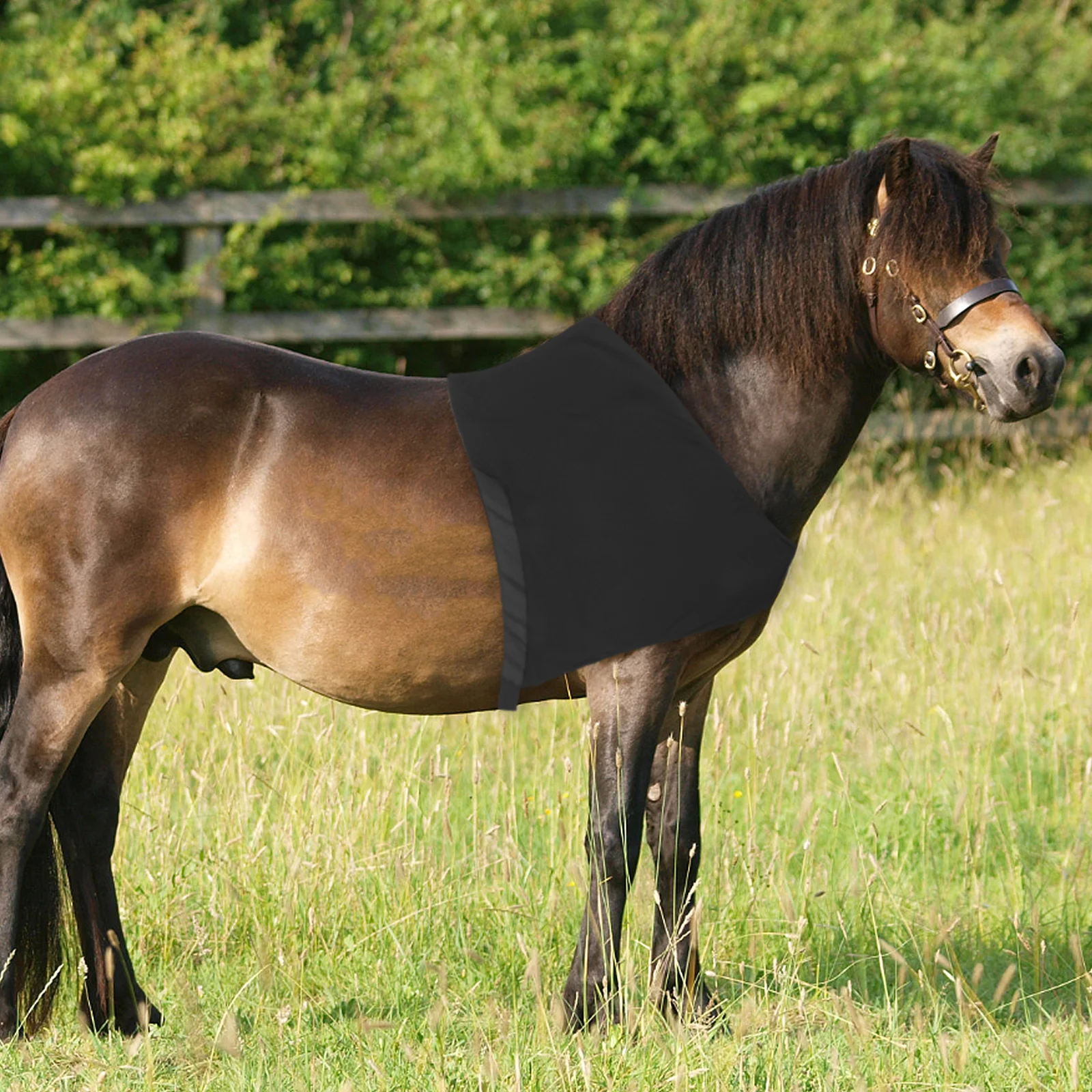 سترة واقية عالية المرونة لرقبة الحصان والكتف مصنوعة من ألياف لدنة خفيفة الوزن ومسامية ومضادة للخدش لركوب الخيل #5