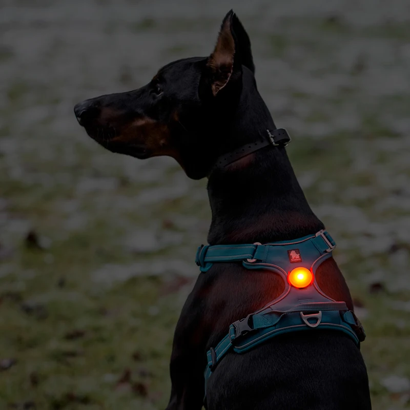 Truelovepet Out Walking Waterproof Safety LED Flashing Light Rechargeable LED Light Pendant For Dogs Cats Pets TLD19103