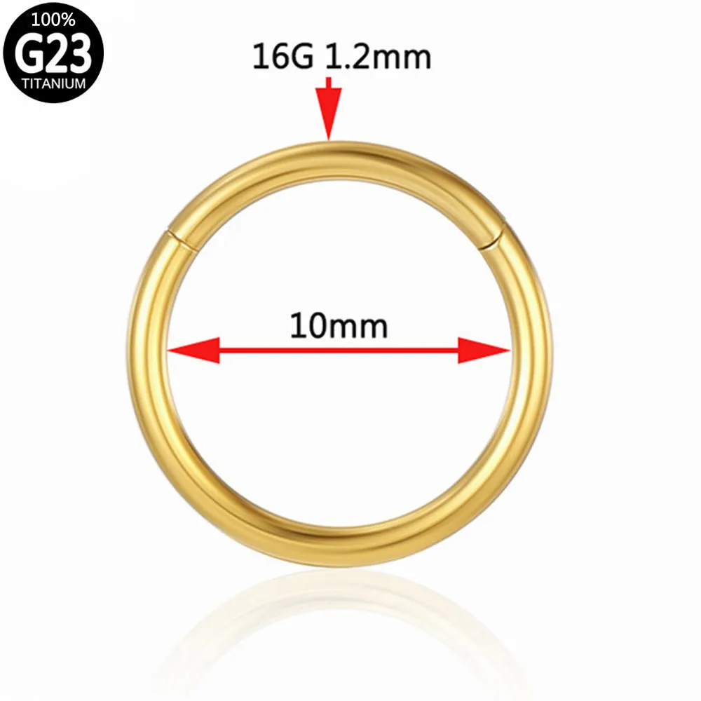 Image 3: Anneau de nez G23 en titane CZ 16G 18G, charnière Septum Segment oreille Tragus Cartilage Helix Daith lèvres nez corps Piercing bijoux