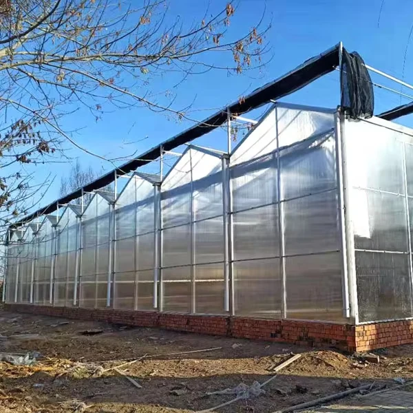 

Customized greenhouseMulti-Span PC Sheet Agricultural Greenhouse Polycarbonate Greenhouse, UV Protection & Insulation for Farmin