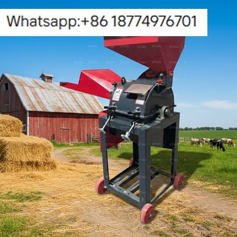 

Compact 250Kg/H Wet Forage Processing Machine for Small Farm Livestock Feed Preparation