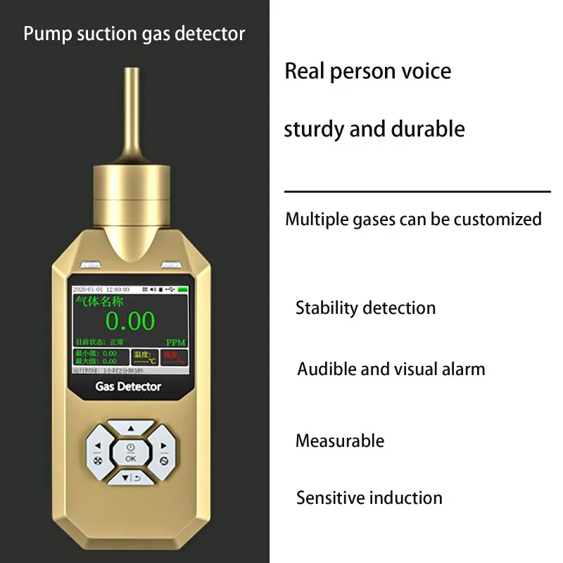 Portable Pump Suction Carbon Monoxide  Detector with 0-10000ppm Range IP65 Protection Sound Alarm