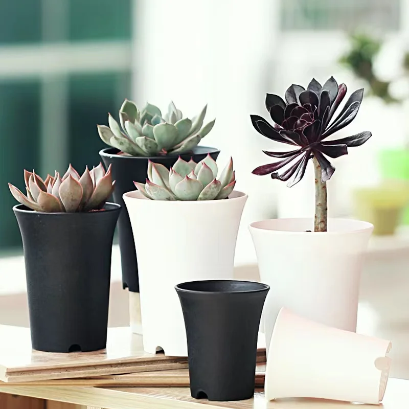 Succulent Plant Old Pile Basin Vientiane Basin Thickened Matte Round High-Waisted Plastic Flowerpot Black White Gardening