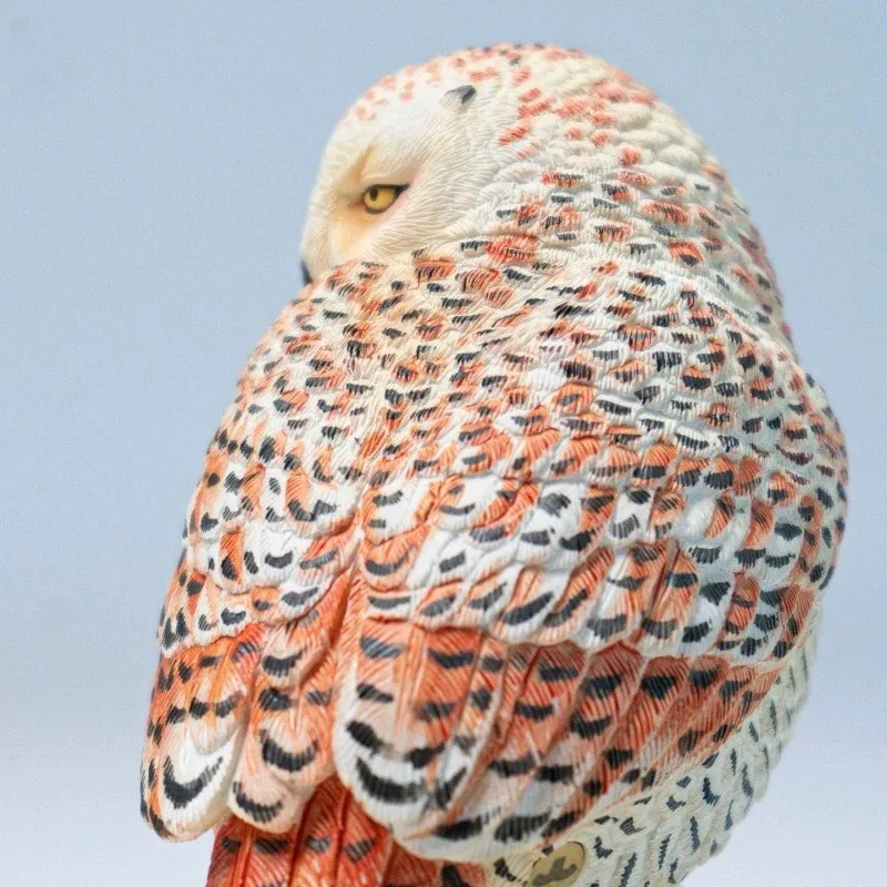 

Предзаказ: Изысканная коллекционная модель снежной совы JXK в масштабе 1/6, ручная работа, имитация, из смолы, сувенир, подарок