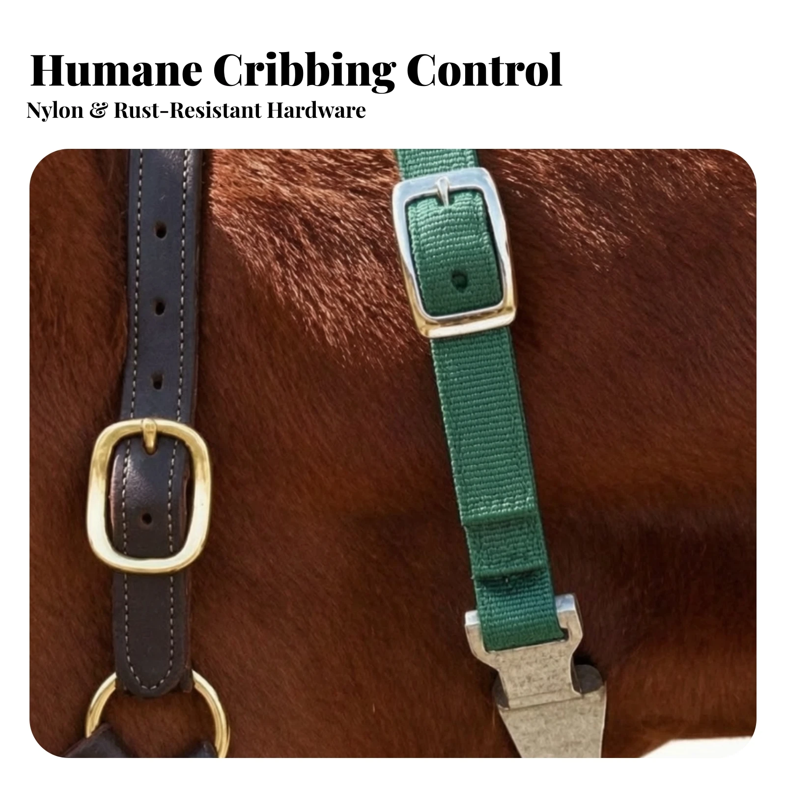 Equine Behavior Correction Device Secure Horse Anti-Windchewing Strap Anti-Windchewing Strap with Aluminum Frame Practical