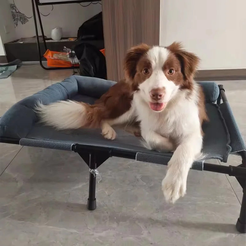 Erhöhtes Hundebett, kühlend, atmungsaktiv, feuchtigkeitsbeständig, für alle Jahreszeiten, universelles Innenbett für Hunde, Katzen, Haustierzubehör – Detail 9