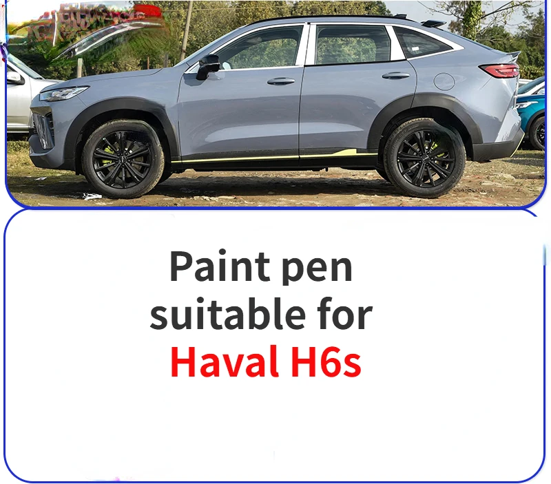 Stylo de peinture adapté au stylo de réparation de peinture Haval H6s dauphin blanc corail rouge noir outil de réparation de rayures de peinture de voiture, modification de voiture