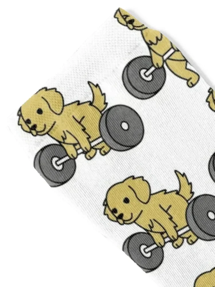 Golden Retriever Weightlifting Socks FASHION kawaii custom sports Socks Men's Women's