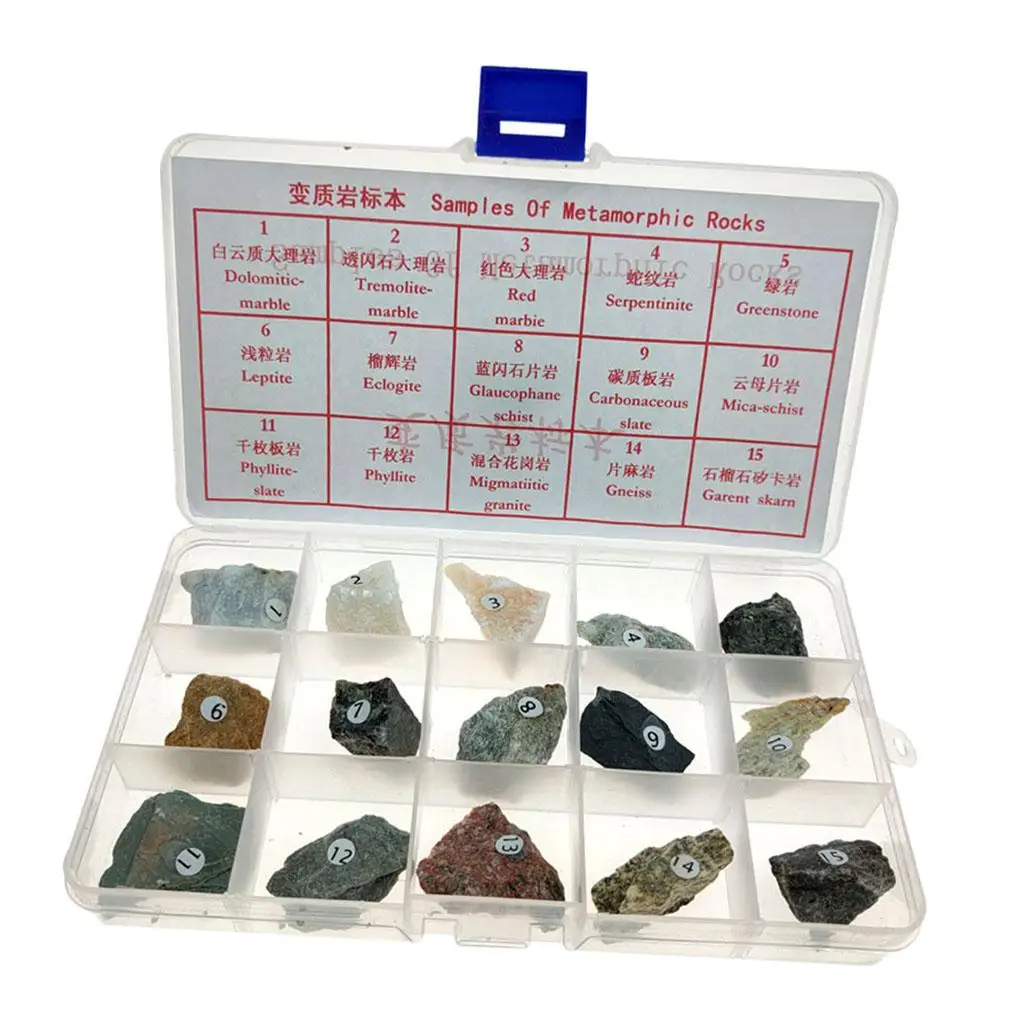 Educational Educational Supplies for Metamorphic Rock with Box of And Up