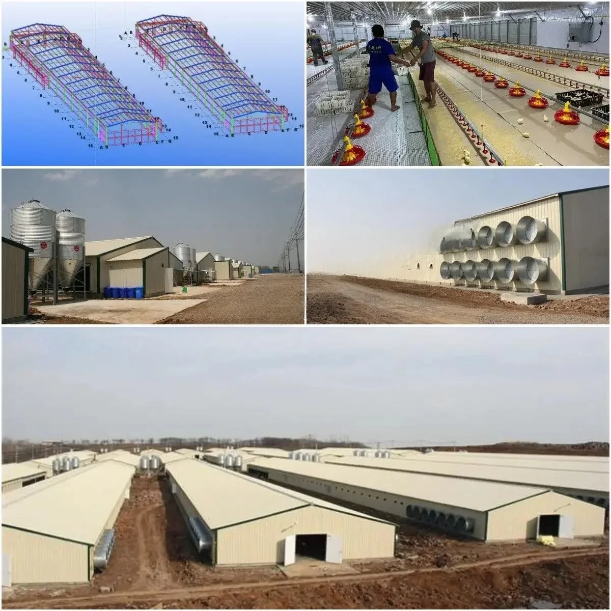 

Light Steel Structure Prefabricated Poultry House Chicken Coop Chickens