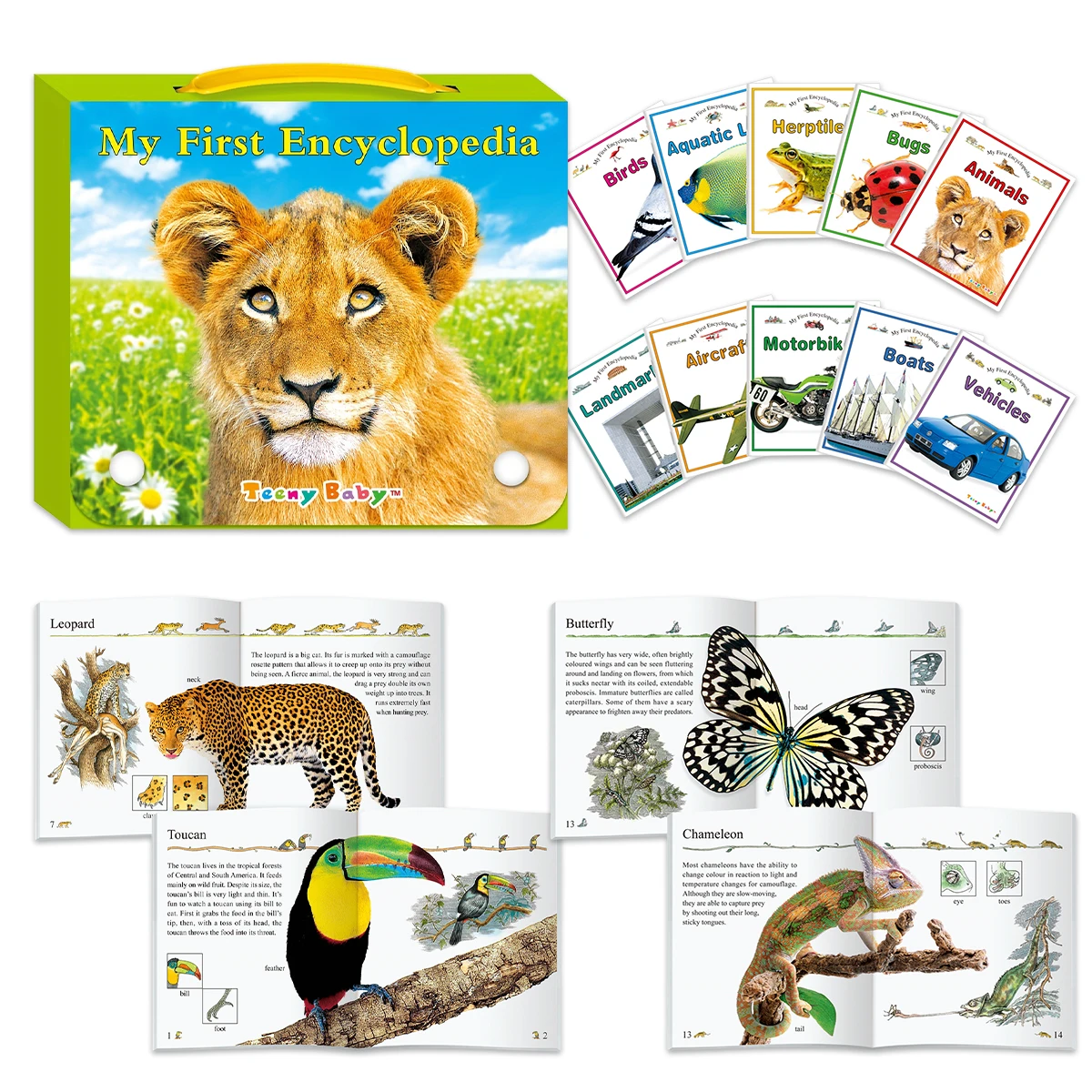 

Набор из 10 книг «Моя первая энциклопедия», Детская сказочная книга для сна, либрос, дошкольное обучение, улучшение детского слуха