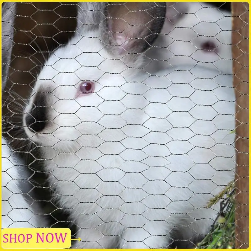 Especial Chicken Wire Mesh Floral Chicken Wire Hexagonal Chicken Wire Fencing Fit For Garden Craft Projects