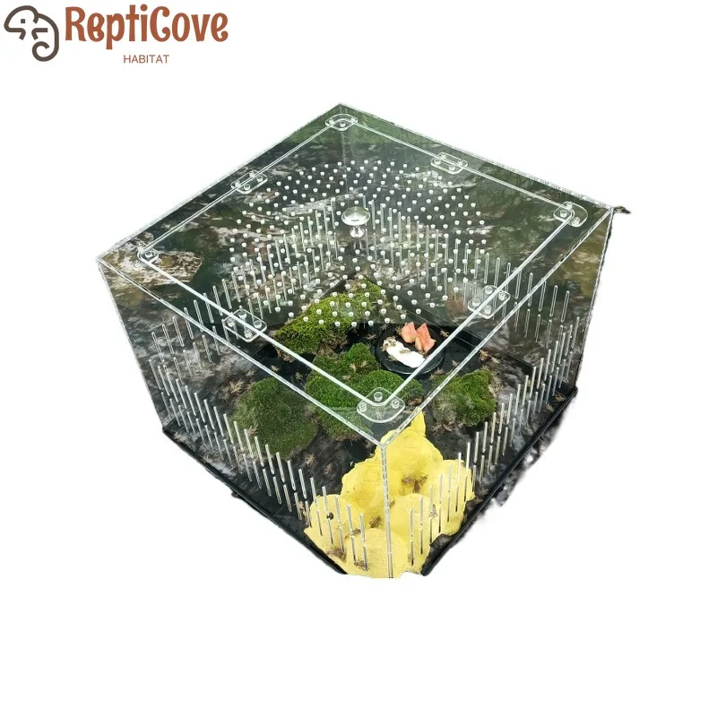

Transparent insect feeding box for crickets,dubia roaches,beetles,mantises,and scorpions,secure lid design prevents escape,ideal