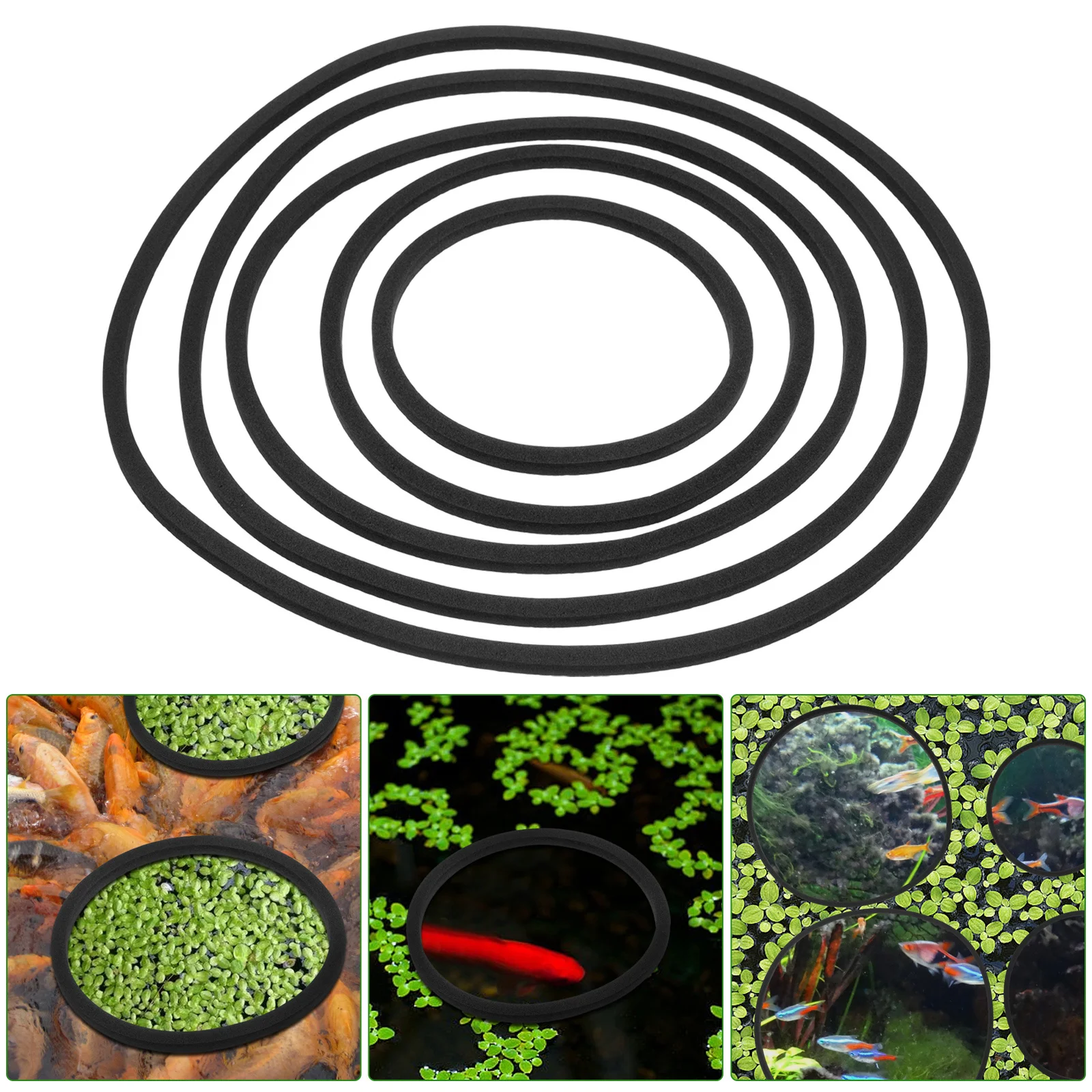 

5Pcs Aquarium Floating Plant Rings Durable Eva Fish Feeding Isolation Circles Easy Clean Aquarium Floating Plant Rings