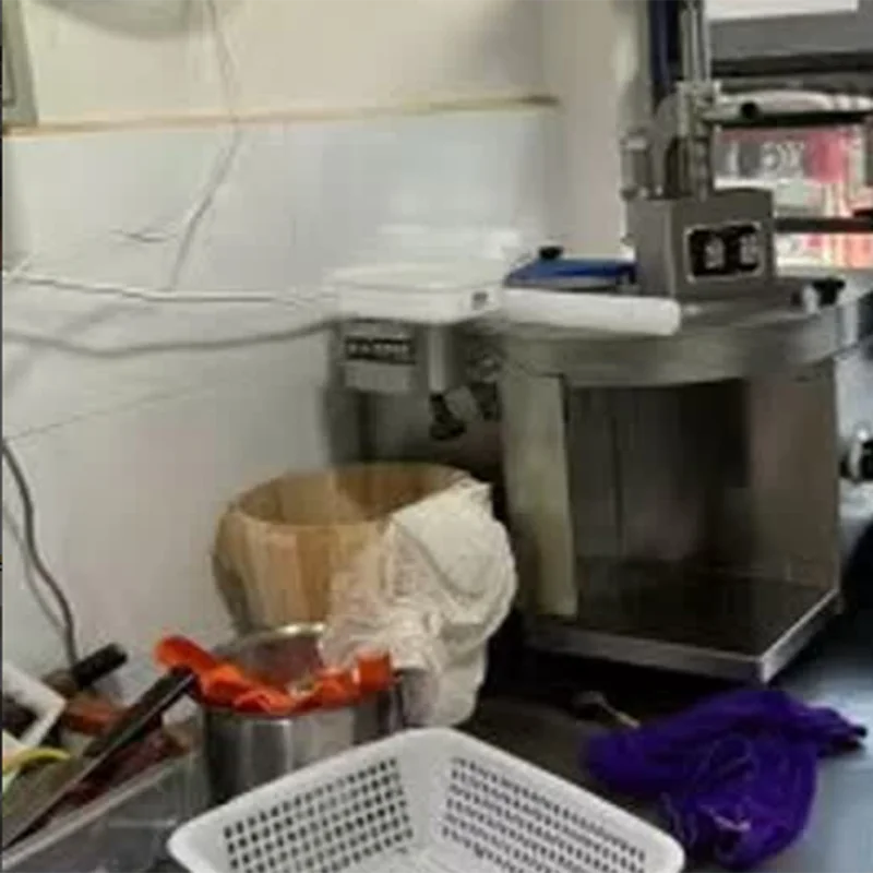 Professional Meat Cutting Machine Fresh Beef and Mutton Slicer Meat Slicing Machine